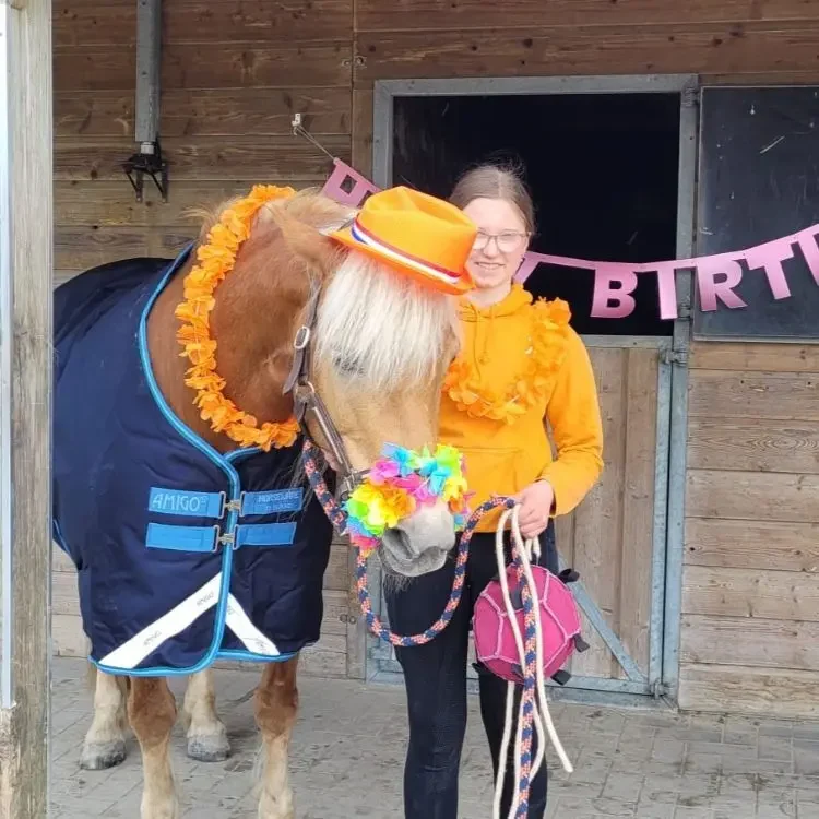 Paard Ankor draagt een oranje hoedje, bloemenkrans en feestdeken, begeleid door persoon in oranje hoodie voor een versierde stal met ‘Happy Birthday’-banner